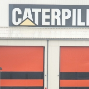 cateepillar