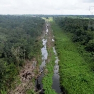 chantier_autoroute_bresil