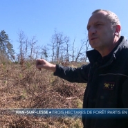 Trois hectares de végétation et de bois sont partis en fumée hier, dans un espace naturel à Han-sur-Lesse, dans la commune de Rochefort. Un feu favorisé par les conditions météo qui a nécessité un important déploiement de moyens. Comment l'expliquer ? Réponse avec Roxane Josse.