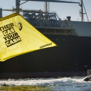 action-greenpeace