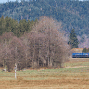 belgaimage-114358216