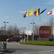 gsk