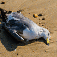 adobestock_367243469