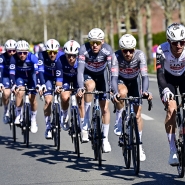 belgaimage-119573083_copie