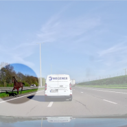 Deux chevaux en liberté sur l'E40 sèment le chaos: J’ai eu la peur de ma vie, toutes les voitures zigzaguaient.