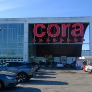 cora