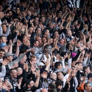 belgaimage-1485050_copie