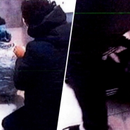 dealer-preuve-cellophane