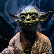 yoda