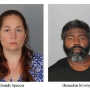 adolescente_cage_pour_chien