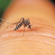 adobestock_395170475