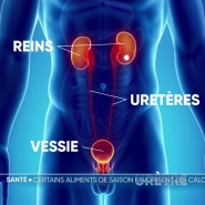 Ce sont de petites pierres qui se logent dans les voies urinaires et peuvent causer de grandes douleurs. Un Belge sur 10 est concerné, tant les hommes que les femmes. Pour les prévenir, il faut veiller à son alimentation. Les fraises de saison sont concernées. Explications.