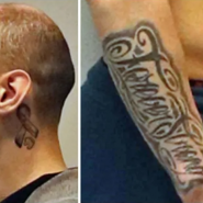 Capture d’écran 2025-05-27 152756.png