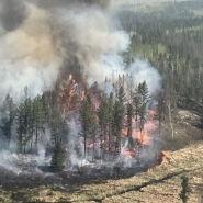 canada-feux-de-forets