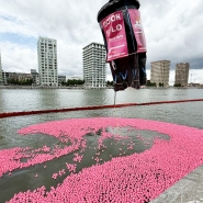 20 000 canards roses photographiés lors de la Pink Duck Race au Kattendijkdok-Oostkaai, à Anvers, le samedi 7 juin 2025. Avec cette course, Think Pink attire l’attention sur la lutte contre le cancer du sein.