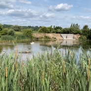 RTL INFO 13h Clean.13_12_18_19.Still001.jpg