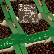 Les cerises ont du succès cette année