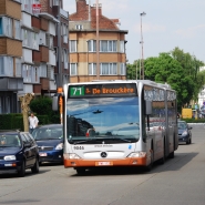 Le bus 71 de la STIB.