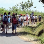 Des règles spécifiques sont de ce fait prévues par le Code de la route pour les groupes d’enfants avec guide pour assurer leur sécurité.