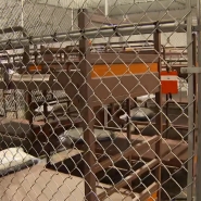 0a11f146-e0a3-479c-83af-0677a5c83986_Hi.mxf.00_00_03_21.Still001 (1).jpg