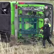 flixbus.png