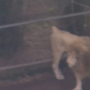 Capture d'écran 2025-07-07 062700.png