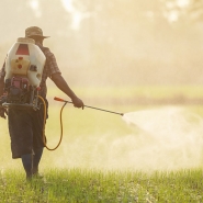 pesticide.jpg