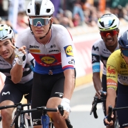 belgaimage-130253662_copie