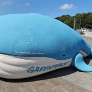 BELGA PHOTO MAAIKE TIJSSENS