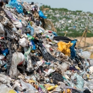 Image d’illustration