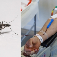 ipiccy_image (19).jpg