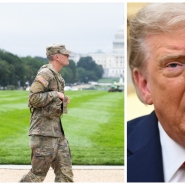 ipiccy_image (85).jpg