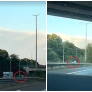 ipiccy_image (99).jpg