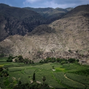 2025-09-03T090108Z_2089102586_RC27KGAM00M8_RTRMADP_3_AFGHANISTAN-QUAKE