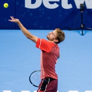 David-goffin.jpg