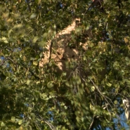 RTL INFO 19h Clean.19_28_08_18.Still004.jpg