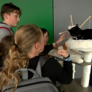 chat  école   mm me.00_34_22_01.Still003.jpg