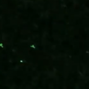 Capture d’écran 2025-09-29 063434.png