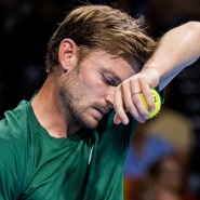 Goffin.jpg