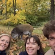 SANGLIER CITADELLE (L.Saint-Ghislain).00_00_41_14.Still004.jpg