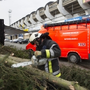 Image d’illustration