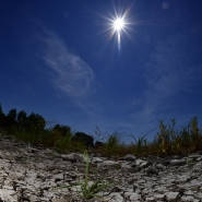 Belgaimage-73608950 (1).jpg