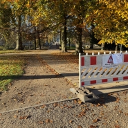 WhatsApp Image 2025-11-08 at 09.56.13.jpeg