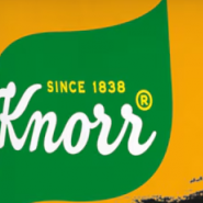 knorr.png