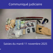 Saisies du 111125_CP jud.png