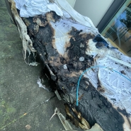 WhatsApp Image 2025-11-22 at 11.47.53.jpeg