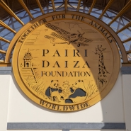 Belgaimage-76691345 (1).jpg