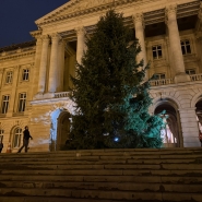 WhatsApp Image 2025-12-08 at 07.14.08 (1).jpeg