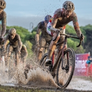 Belgaimage-147209639 copy.jpg