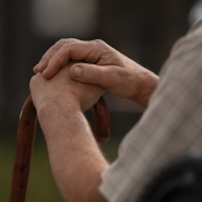 Image d’illustration